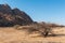 Namibian desert near Spitzkoppe