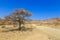 Namibian landscape along the gravel road. Khomas, Namibia