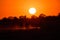 Namibian safari sunset