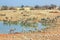 Namibian savannah background