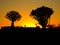 A Namibian sunset set against quiver trees