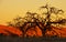 Namibian Sunset - Sossusvlei