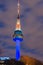 Namsan Mountain of Seoul tower at night in Seoul,South Korea