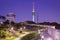 Namsan Park and N Seoul Tower at Night