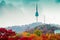 Namsan Seoul Tower and autumn maple mountain in Korea