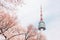 Namsan Seoul tower with cherry blossoms in Seoul, Korea