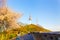 Namsan Tower Cherry Blossom Tourists Wall Seoul