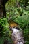 Namtok Siriphum Sirithan Waterfall at Mae Ya Doi Inthanon Chiang mai Thailand