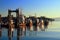 Nanaimo Harbour with Tug Boats in Early Morning Light, Vancouver Island, British Columbia