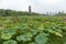 Nanchang like Lake Wetland Park