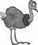 Nandu ostrich bird cartoon illustration