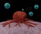 nanodrug delivery system with liposomes encapsulation cancer cell targeting