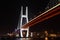 Nanpu Bridge at night. Shanghai