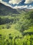 Nant Gwynant Valley in Summer