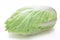 Napa cabbage