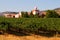Napa Valley vineyard