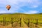 Napa Valley Vineyards, Spring, Mountains, Sky, Clouds, Hot Air Balloon