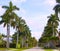 Naples beach streets with palm trees Florida US
