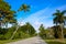 Naples beach streets with palm trees Florida US