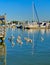 Naples city dock Florida pelicans boats