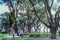 NAPLES, ITALY, 1995 - The monumental trees of the Villa Comunale in Naples offer shade to tourists and Neapolitans