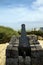 Napoleon`s cannon in old Jaffa . Israel.