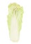 Nappa cabbage isolated