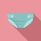 Nappy diaper icon, flat style