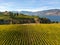 Naramata Bench Winery Vineyard Penticton Okanagan Valley