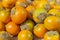 Naranjillas crop