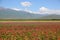 Narati Prairie in Xinjiang, China