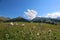 Narati Prairie in Xinjiang, China