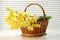 Narcissus basket, easter, spring yellow narcissus flower womens or mothers day