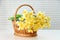 Narcissus basket, easter, spring yellow narcissus flower womens or mothers day