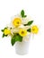 Narcissus bouquet