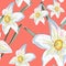 Narcissus daffodils seamless spring floral pattern. Vector Yellow and white illustration.