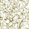 Narcissus flower. Floral botanical monochrome seamless pattern.