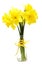 Narcissus flowers posy in vase