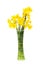 Narcissus flowers in a vase