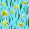 Narcissus seamless pattern, background. Texture, textile, backdrop, fabric