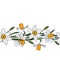 Narcissus seamless pattern brush. Floral border