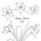 Narcissus spring flowers reusable elements set