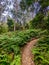 Narooma MTB Trails in Australia