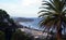 Narrabeen beach from Collaroy Plateau