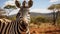 Narrative-driven Visual Storytelling: A Close Up Of A Zebra In Madagascar