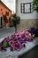 Narrow alley in Bossolasco, village of the roses Piedmont, Italy