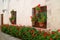 The narrow alley full of red flowering shrubs and planters hanging on the old building`s window, Monastery of Santa Catalina, Peru