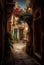 Narrow Alley Potted Plants Bicycle Beautiful Matte Painting Roses Cyprus Captivating Enticing Dicky Anthropology Wonder Imagery