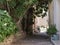 Narrow alley in semi-shade, southern France,Pot and tub plants, typical sandstone for houses, coarse cobblestones,