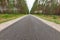 A narrow asphalt road leading through the forest. Paved road in Central Europe